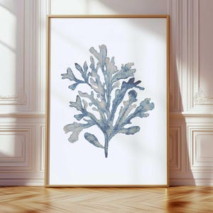 Coral Seaweed Blue Beige Minimalist Coastal Wall Art Beach House Watercolor Botanical Extra Large Poster Housewarming Gift for Her