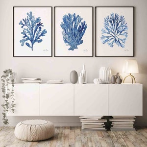 Nautical Wall Decor Coastal Wall Art Set of 3 Prints Navy Blue Coral Seaweed Minimalist Watercolor Painting Beach House Spring Summer Art image 4