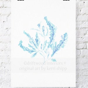 Seaweed Print in French Blue 11x14 Sea Life Art Print Coral Art Print Watercolor Art Print Giclee Print image 1