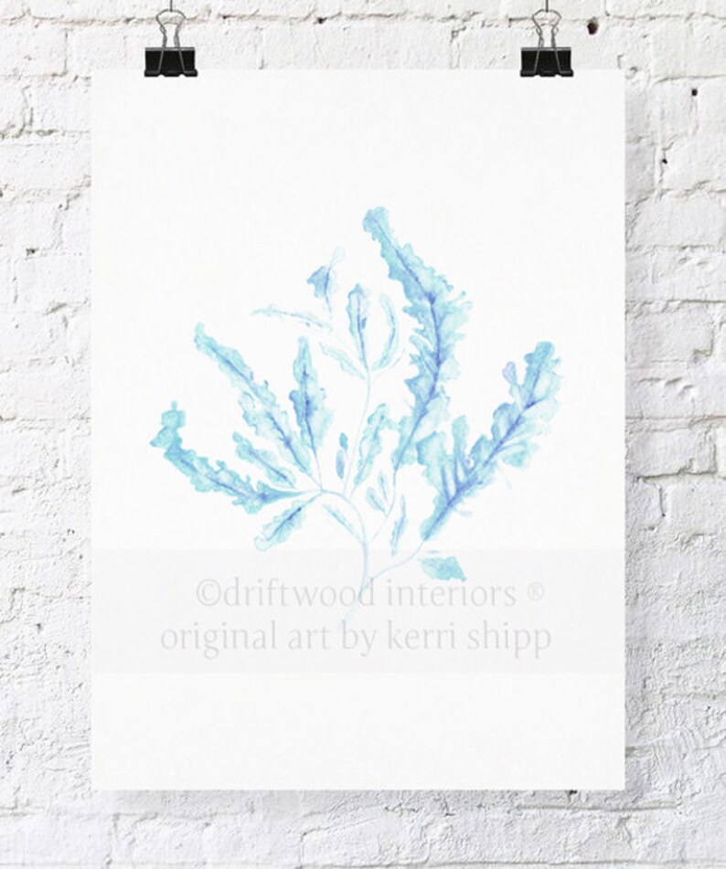 Seaweed Print in French Blue 11x14 Sea Life Art Print Coral Art Print Watercolor Art Print Giclee Print image 1