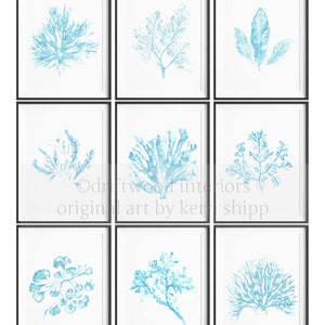 Seaweed Print in French Blue 11x14 Sea Life Art Print Coral Art Print Watercolor Art Print Giclee Print image 2