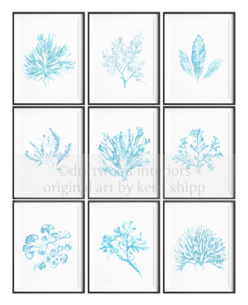 Seaweed Print in French Blue 11x14 Sea Life Art Print Coral Art Print Watercolor Art Print Giclee Print image 2