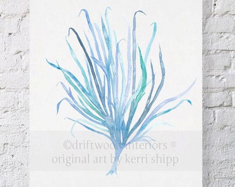 Seaweed Wall Art Print in Aqua - Blue Coral Art - Blue Seaweed Print - Sea Life Art Print - Coral Art Print - Seaweed VII in Aqua 11x14