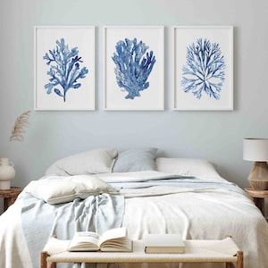 Nautical Wall Decor Coastal Wall Art Set of 3 Prints Navy Blue Coral Seaweed Minimalist Watercolor Painting Beach House Spring Summer Art image 3