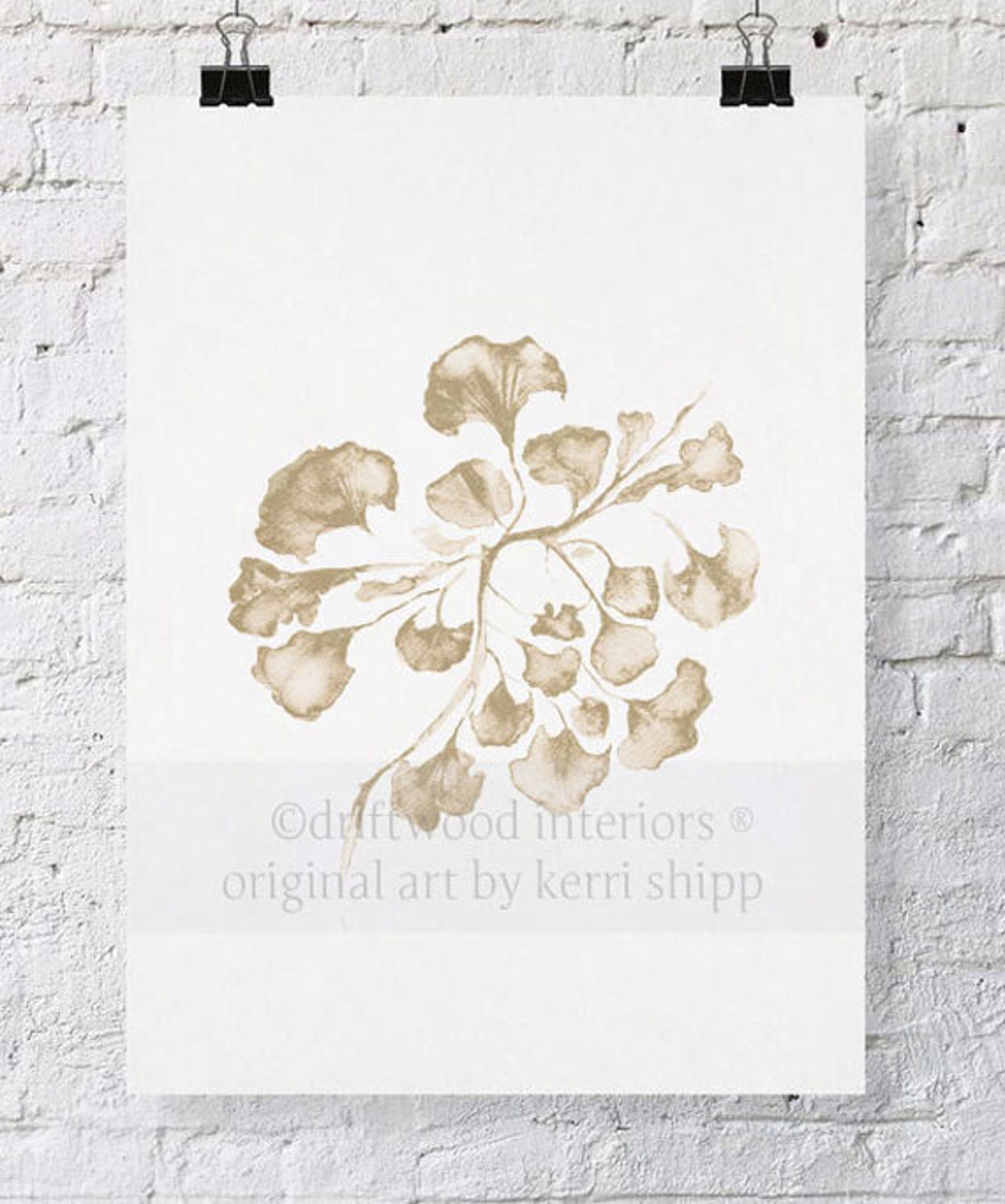 Sea Fan Wall Art Giclee Print Sea Life Art Sea Fan Art Etsy