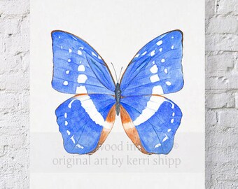 Butterfly in Cobalt  11x14 print - Petit Papillon Series