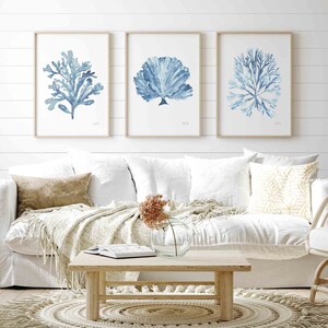 Sky Blue Coral Seaweed Wall Art Set of 3 Prints, Minimalist Wall Decor ...
