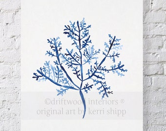 Sea Fern III in Denim Print 8x10 - Sea Life Art Print - Coral Art Print - Blue Coral Print - Seaweed Giclee Print - Marine Life Print