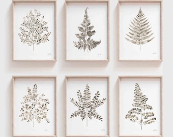 Watercolor Fern Art Prints, Set of 6, Minimalist Botanical Wall Decor