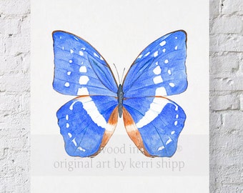 Butterfly in Cobalt Blue Watercolor Print 8x10 - Butterfly Art Print - Natural Curiosities Print - Butterfly Specimen Art