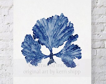 Seaweed II in Denim Blue Watercolor Print 8x10 - Sea Coral Art Print - Sea Fan Art Print - Coral art by Kerri Shipp