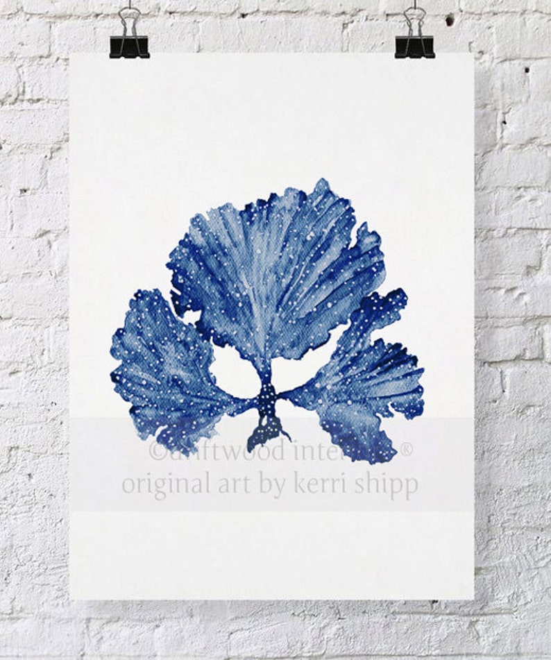 Seaweed II in Denim Blue Watercolor Print 8x10 Sea Coral Art Print Sea Fan Art Print Coral art by Kerri Shipp image 1