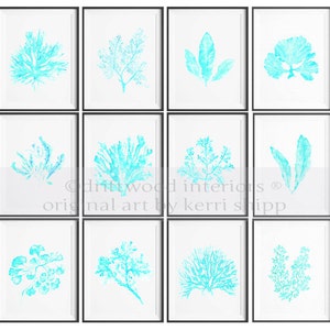 Sea Coral in Turquoise Watercolor Art Print 11x14 Sea Life Wall Art in Turquoise Blue image 2