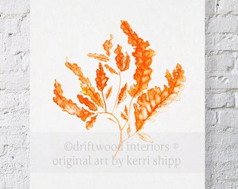 Seaweed in Tangerine Print