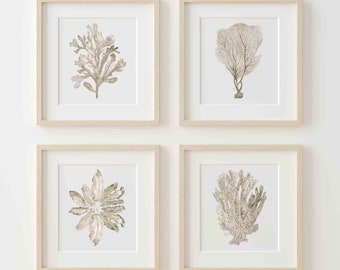 Minimalist Boho Wall Art Beige Coral Print Set of 4, Coastal Nautical Botanical Artwork, Neutral Wall Decor Print Extra Large Poster Set