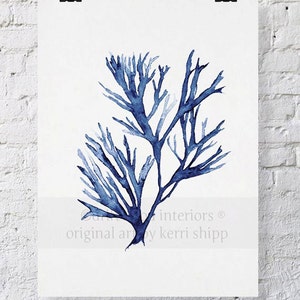 Seaweed Wall Art Print in Denim Blue - Blue Coral Art - Blue Seaweed Print - Sea Life Art Print - Coral Art Print - Seaweed V in Denim 17x22