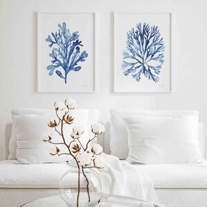 Coral Seaweed Navy Blue Watercolor Set of 2 Prints, Coastal Wall Art Minimalist Decor, Nautical Room Decor Beach House Art Nature Print image 4