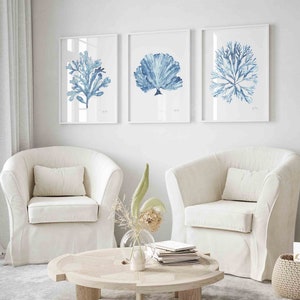 Sky Blue Coral Seaweed Wall Art Set of 3 Prints, Minimalist Wall Decor ...