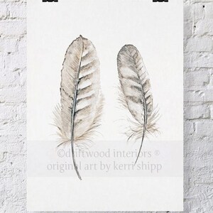 Feather Print 'Collected' 8x10
