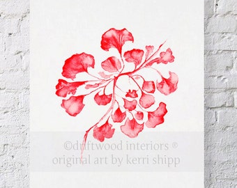 Sea Fan IV Coral Print in Ruby 11x14 - Sea Life Art Print - Coral Art Print - Red Coral Print - Red Seaweed Print