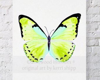 Watercolor Print Butterfly in Green 11x14 - Green Butterfly Art Print by Kerri Shipp - Butterfly Print - Papillon Series