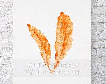 Sea Fan in Tangerine - NEW colour