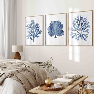 Navy Blue Coral Seaweed Wall Art Set of 3 Prints, Minimalist Watercolor ...