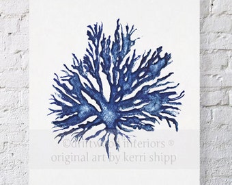 Sea Coral II in Denim Blue Watercolor Print 11x14 - Coral Art Print - Blue Coral Art - Sea Life Art Print