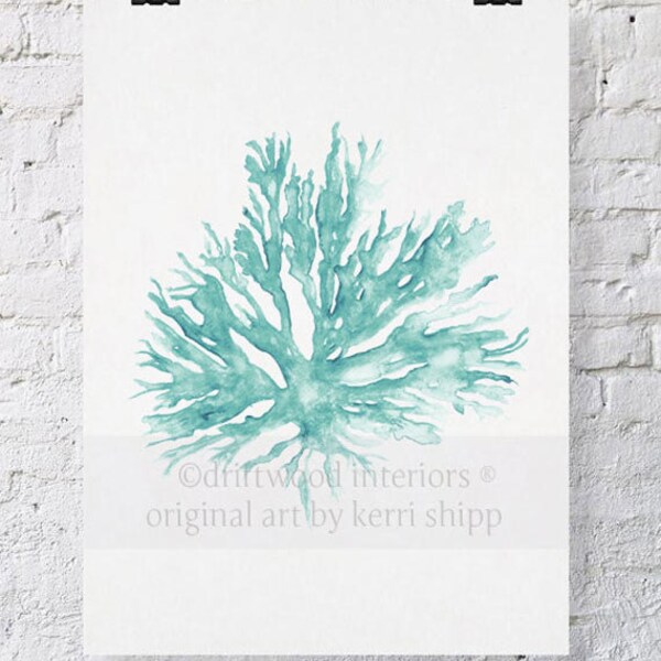 Sea Coral in Woodlawn II Print