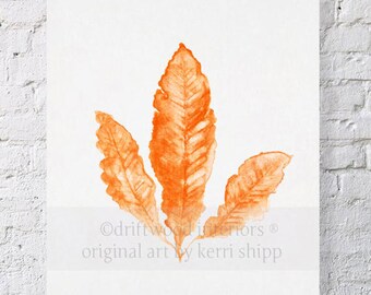 Sea Fan in Tangerine II Print