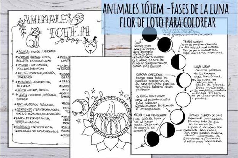 May include: A black and white coloring page featuring a lotus flower with a crescent moon inside. The page includes text in Spanish about animal totems and the phases of the moon.