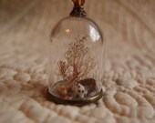 Miniaturas casa de muñecas mar tesoro pantalla