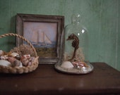 Miniature Seahorse Cloche Display
