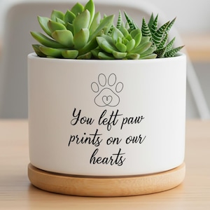 Puede incluir: Una maceta de cerámica blanca con base de madera, que contiene suculentas verdes. La maceta presenta un diseño de huella de pata y el texto "You left paw prints on our hearts."