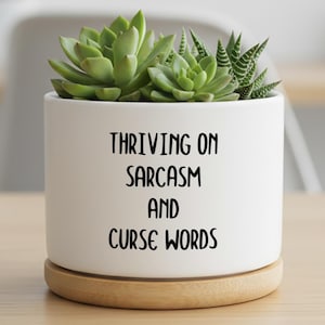 Könnte beinhalten: Ein weißer Keramik-Pflanztopf mit dem Text "Thriving on Sarcasm and Curse Words" in schwarzer Schrift. Der Topf enthält eine grüne Sukkulentenpflanze. Er steht auf einem runden, hellen Holzsockel.
