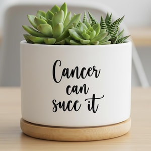 May include: A white ceramic plant pot with the text "Cancer can succ it" in black script. The pot contains green succulents and sits on a round, light-coloured wooden base. The background is blurred.