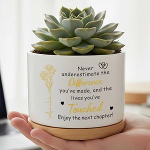 Maceta para jubilación, maceta inspiradora para profesores, regalo de despedida para compañeros de trabajo, maceta personalizada para suculentas, regalo para la siguiente etapa.