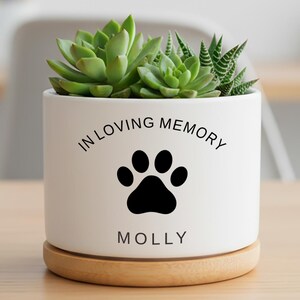 Puede incluir: Una maceta de cerámica blanca con base de madera, con una planta suculenta. La maceta tiene una huella de pata negra y el texto "IN LOVING MEMORY" y "MOLLY".