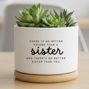 May include: White ceramic planter with a succulent plant, featuring the text "THERE IS NO BETTER FRIEND THAN A sister AND THERE'S NO BETTER SISTER THAN YOU." The planter sits on a round wooden base.
