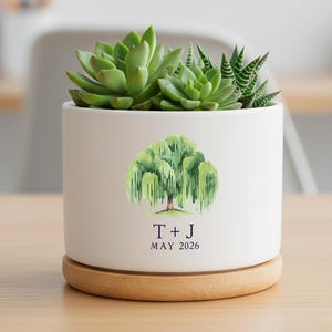 May include: A white ceramic planter with a wooden base, holding a variety of succulents. The planter features a watercolor illustration of a weeping willow tree and the text "T + J MAY 2026".