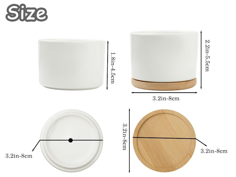May include: White ceramic plant pots with bamboo saucers. The pots are cylindrical, measuring 8 cm in diameter. One pot is 4.5 cm tall, and the other is 5.5 cm tall. The saucers are 8 cm in diameter.