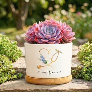 May include: A white ceramic plant pot with a succulent. The pot features a gold heart and stethoscope design, with the name "Helene". The succulent has purple and pink leaves.