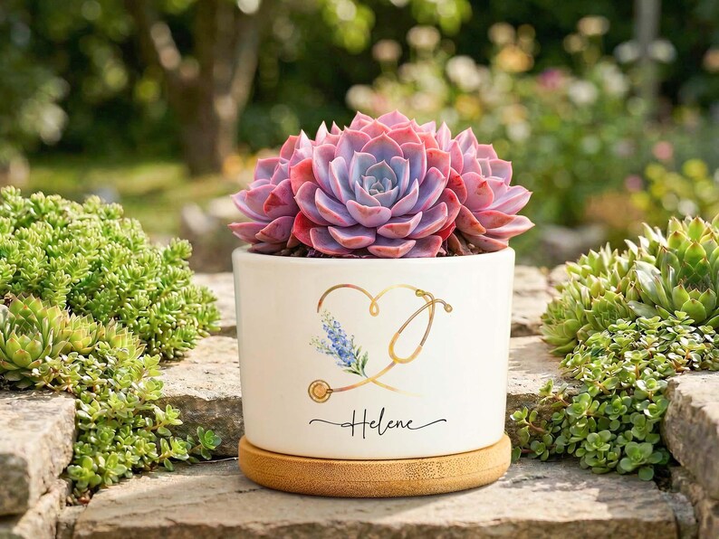 May include: A white ceramic plant pot with a succulent. The pot features a gold heart and stethoscope design, with the name "Helene". The succulent has purple and pink leaves.