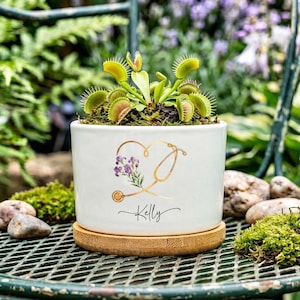 Personalized Nurse Planter Pot, Floral Stethoscope Planter, Custom Nurse Succulent Pot, RN Gift for Her, Medical Office Decor image 4