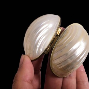 Vintage mother of pearl clam shell box showing natural shell exterior and brass trim details