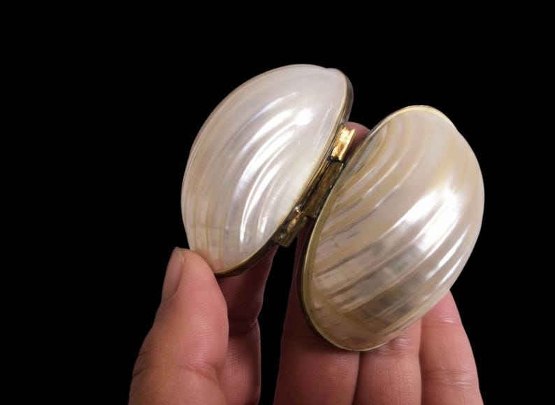 Vintage mother of pearl clam shell box showing natural shell exterior and brass trim details