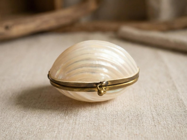 Vintage mother of pearl clam shell jewelry box with brass trim, small ring box or earring trinket box