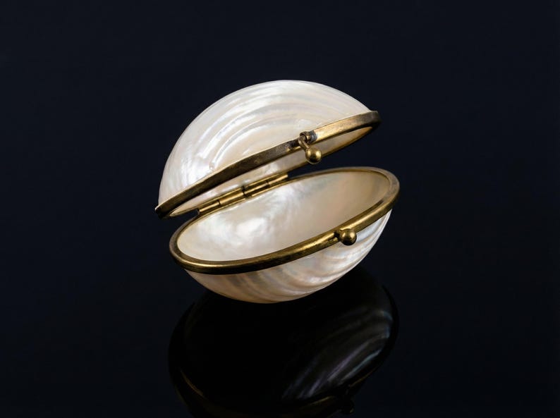 Open mother of pearl clam shell trinket box with brass hinge and clasp, vintage small jewelry box
