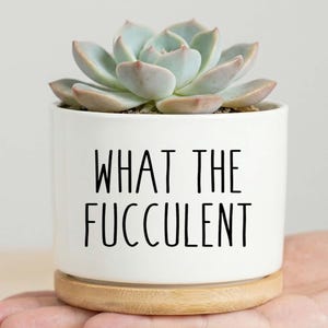 May include: A white ceramic planter with the text "WHAT THE FUCCULENT" in black lettering. The planter holds a succulent plant with pale green and pinkish leaves. The planter sits on a round, light-colored wooden base.