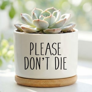Puede incluir: Una maceta de cerámica blanca con el texto "PLEASE DON'T DIE" en letras negras. Contiene una planta suculenta con hojas de color verde pálido y rosado, colocada sobre una base de madera. El fondo está borroso con vegetación.